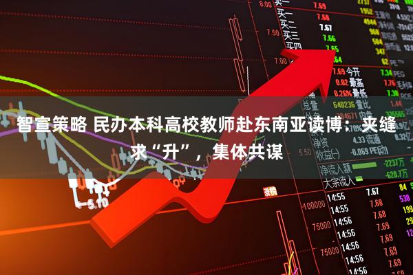 智宣策略 民办本科高校教师赴东南亚读博：夹缝求“升”，集体共谋