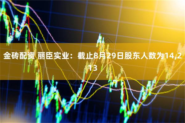 金砖配资 丽臣实业：截止8月29日股东人数为14,213