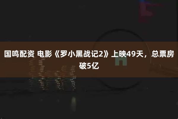 国鸣配资 电影《罗小黑战记2》上映49天，总票房破5亿